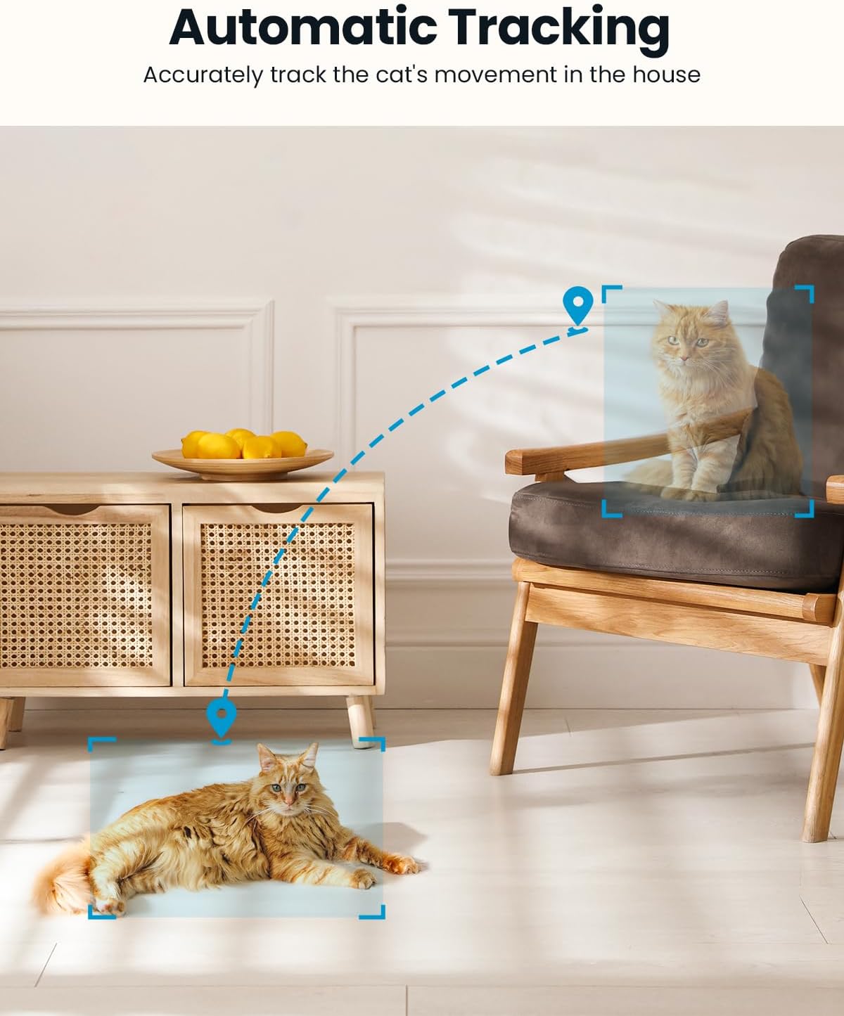 Cámara Vigilancia Interior 2K WiFi 5GHz ieGeek SC1 PTZ 360° - Imagen 7